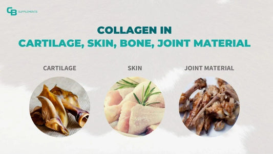 difference between vegan and traditional collagen