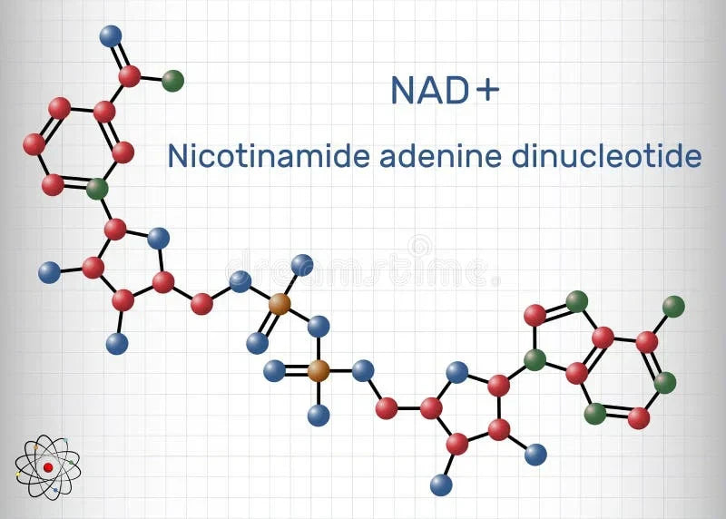 Is NAD a Peptide? The Truth About This Essential Coenzyme - Goldman Is NAD a Peptide? The Truth About This Essential Coenzyme - Goldman