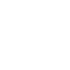 Nervous System