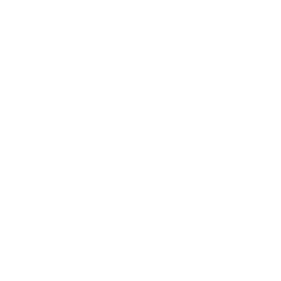 Mindfulness