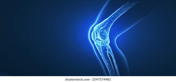 Collagen for Joints: Can It Really Help With Joint Pain?