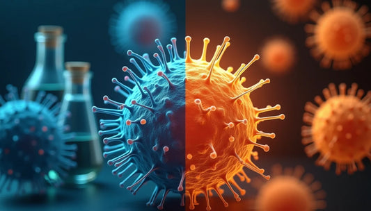 NAD versus NMN: How They Work Together in Anti-Aging and Longevity