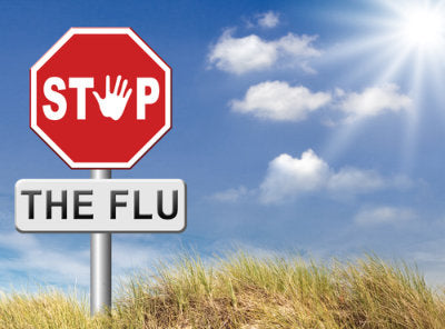 Outdoor sign with 'STOP' and 'THE FLU' message, set against bright sky and tall grass.