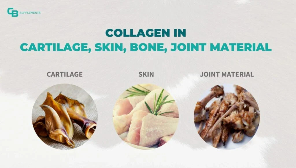 difference between vegan and traditional collagen