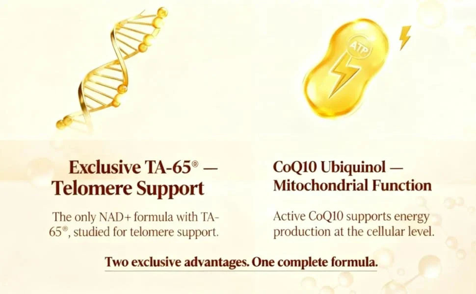 Best Liposomal NAD+ Supplements UK [2025 Buyer's Guide]