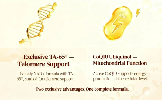 Best Liposomal NAD+ Supplements UK [2025 Buyer's Guide]