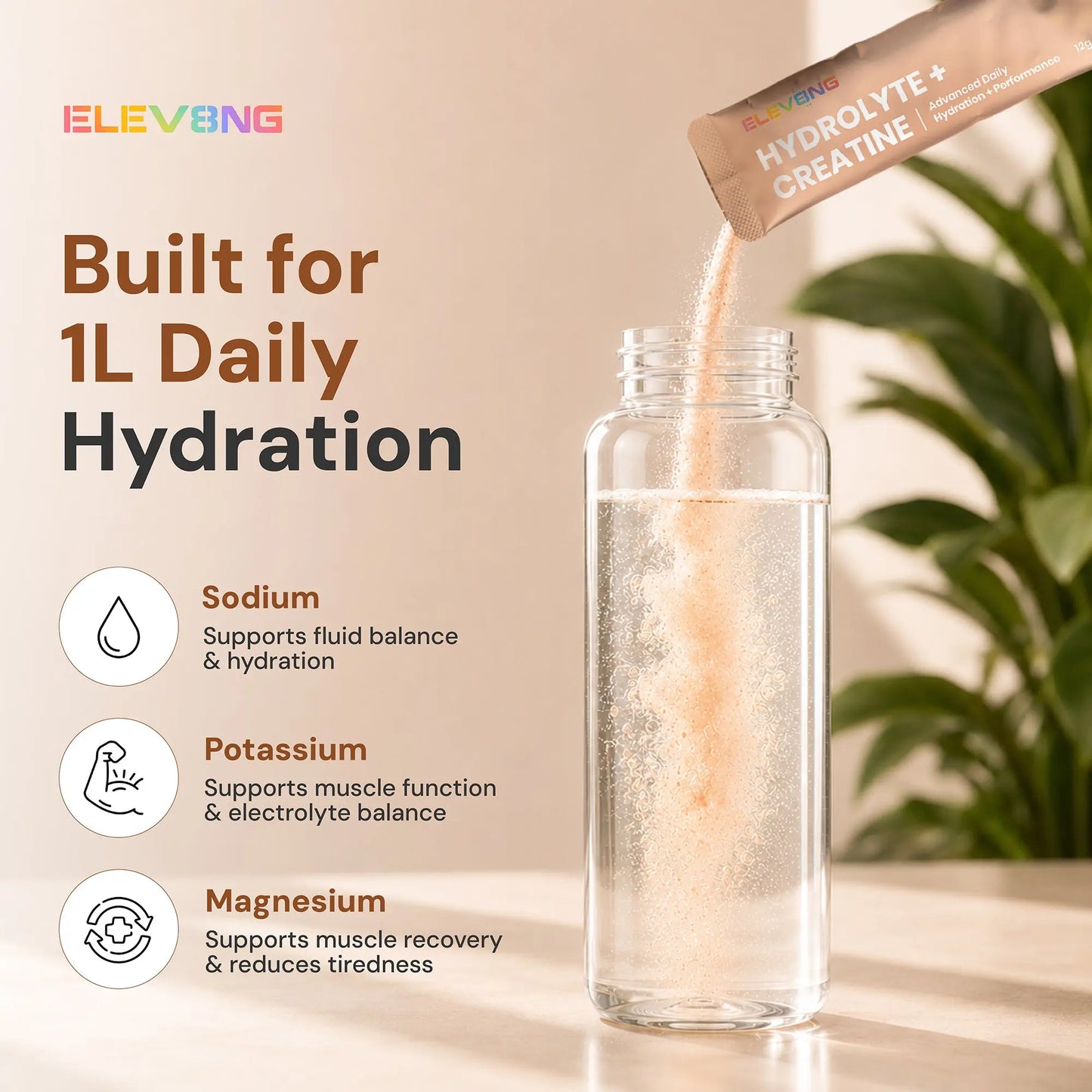 ELEV8NG Hydrolyte + Creatine – Coconut Hydration Drink Mix (10 Sachets) 5g Micronised Creatine + Electrolytes + Prebiotic Fibre + Vitamin C (Copy) (Copy) Goldman Laboratories