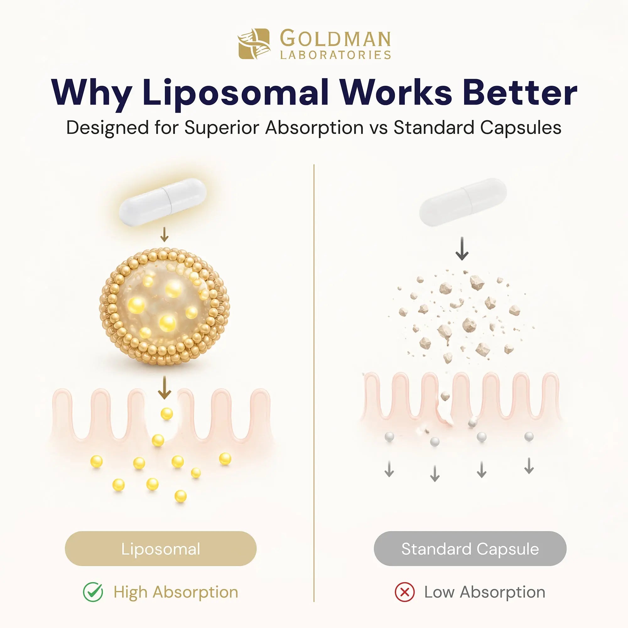 Liposomal Glutathione - 60 caps - Goldman Laboratories Liposomal Glutathione - 60 caps - Goldman Laboratories