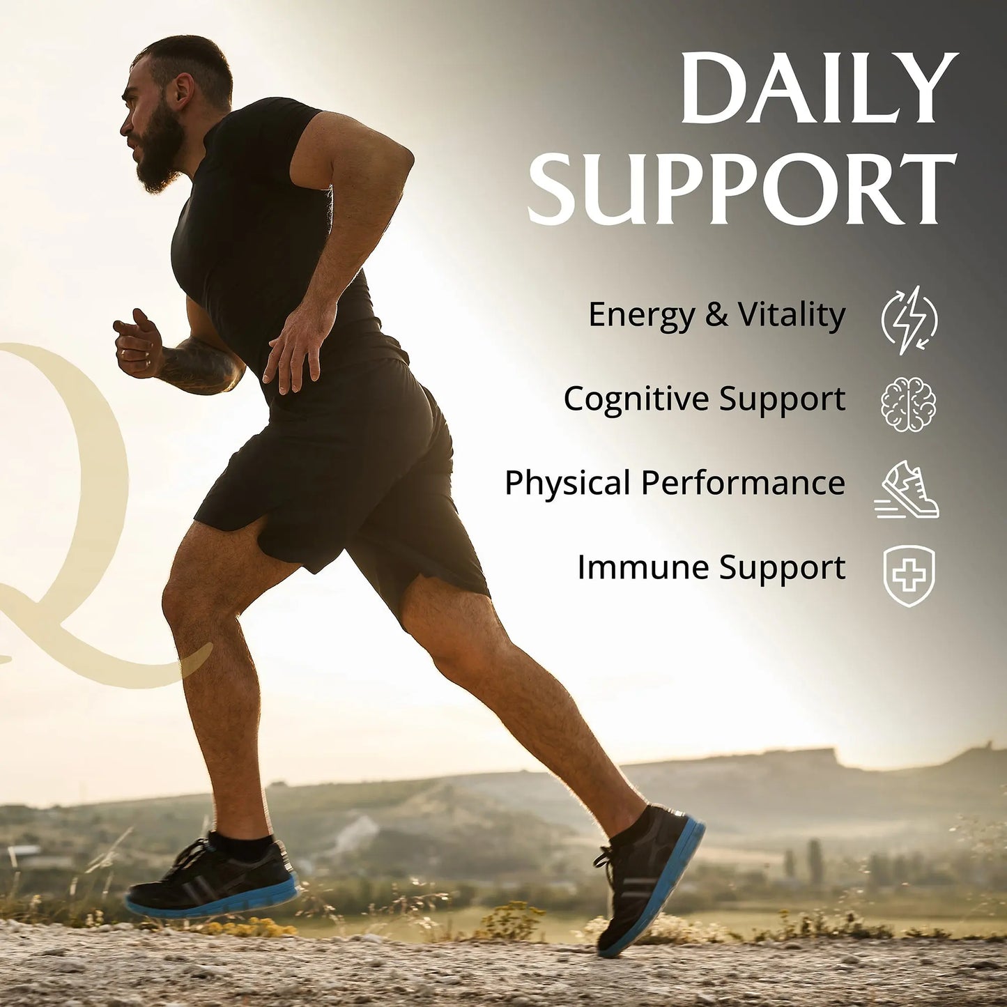 Qarma - Shilajit Capsules 600mg (10:1 Extract) – 94% Fulvic & Humic Acid – Pure Himalayan Shilajit – Energy, Stamina & Vitality Support – Lab Tested – 60 Vegan Capsules – Made in UK Goldman Laboratories