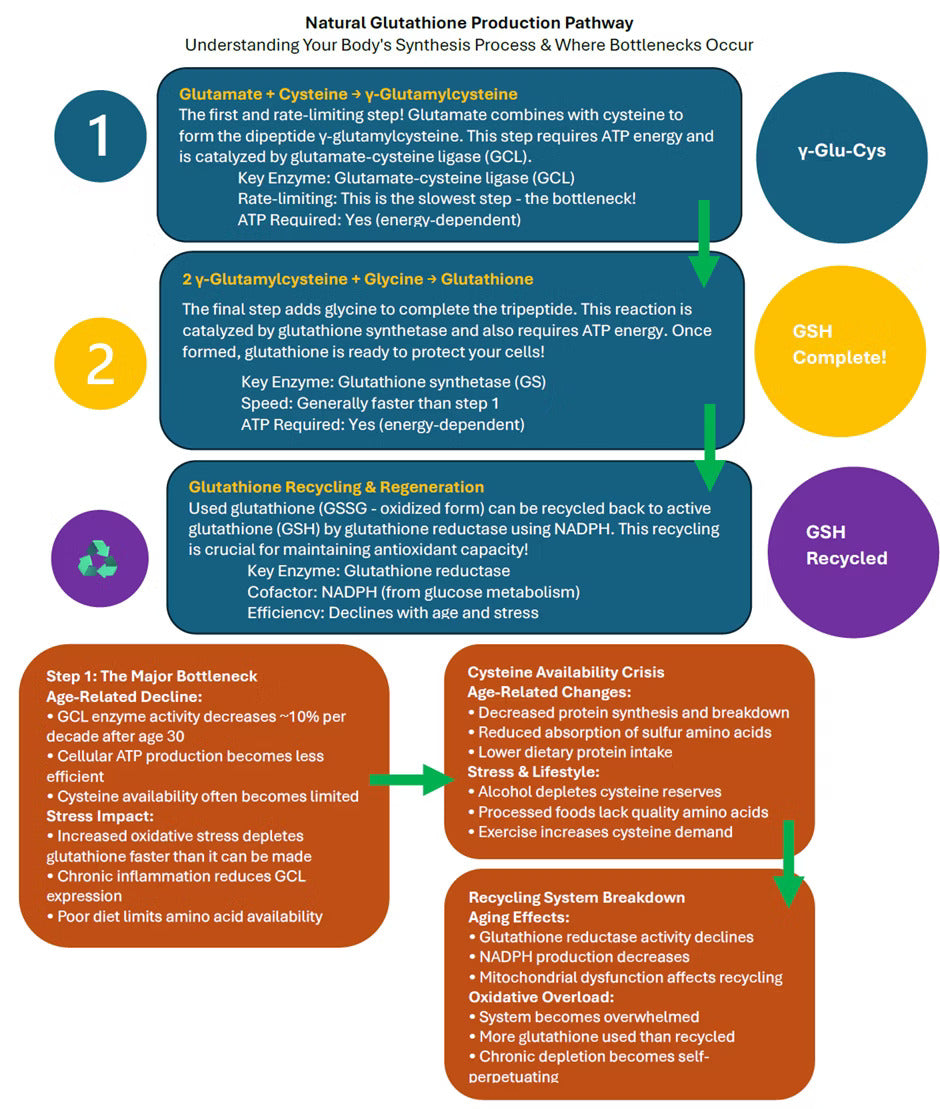 Liposomal Glutathione - 60 caps - Goldman Laboratories Liposomal Glutathione - 60 caps - Goldman Laboratories