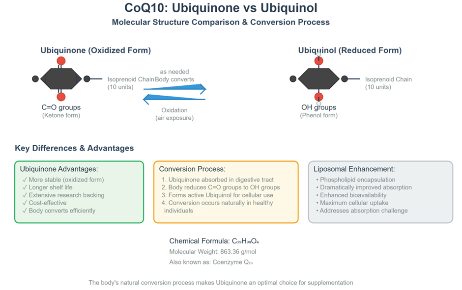 Liposomal CoQ10 - Advanced Absorption - 30 Caps | Goldman Laboratories Liposomal CoQ10 - Advanced Absorption - 30 Caps | Goldman Laboratories