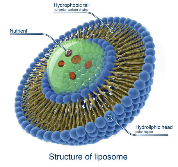 ipamorelin dosage in mg ipamorelin peptide dosage per day SERMORELIN/IPAMORELIN ipamorelin dosage in mg ipamorelin peptide dosage per day SERMORELIN/IPAMORELIN