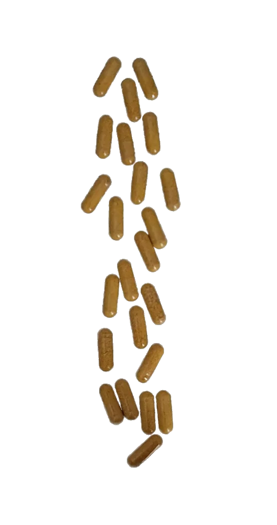 Liposomal Vitamin C 250mg 90 caps Goldman Labs